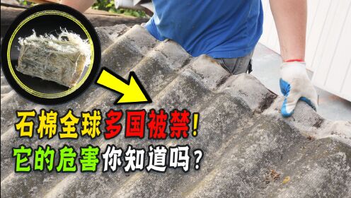 石棉危害有多大？1Kg含一百万根“钢针”，为啥生活中还处处可见？_高清1080P在线观看平台_腾讯视频