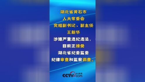 湖北省黄石市人大常委会党组副书记、副主任王新华接受审查调查