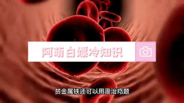 阿萌白嫖冷知识