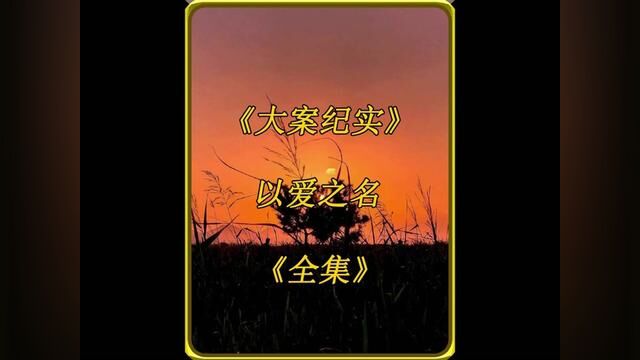 小伙为了逼女友复合,竟然劫持她弟弟来威胁#真实案件记录 #西部刑侦大案纪实根据真实故事改编 #社会百态 #影视解说