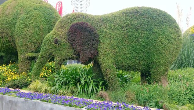 云南世界园艺博览园内大象小象雕塑三五成群 象群驻足草地象鼻或耸立或弯曲自成蔚然风景