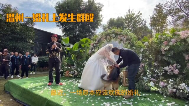 温州一婚礼现场上发生群殴