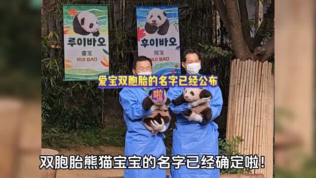 熊猫宝宝的名字已经公布:睿宝、辉宝!智睿的宝物,闪耀的宝物!