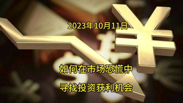 如何在市场恐慌中寻找投资获利机会