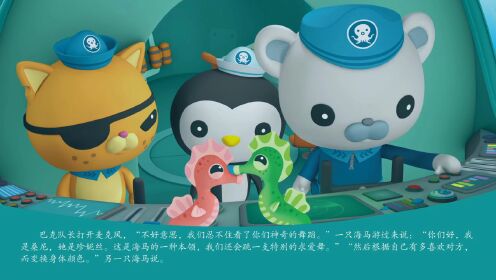 海底小纵队科普探险绘本故事 第34集 海马传说_高清1080p在线观看平台