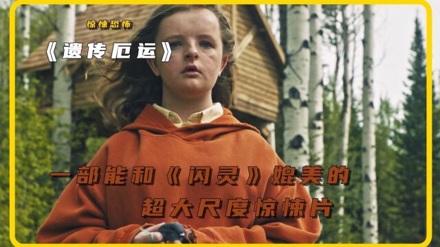 一部能和《闪灵》媲美的超大尺度惊悚片#每日推荐电影