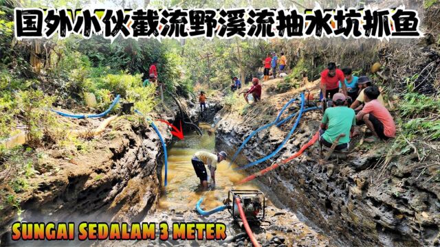 国外高手溪流抽水坑,两台抽水机把溪流堵住截流,让大家见识一下