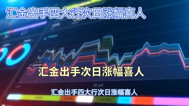 汇金出手次日涨幅喜人