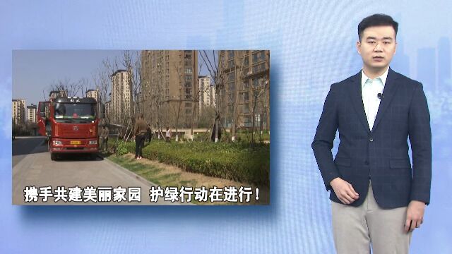 携手共建美丽家园 护绿行动在进行!