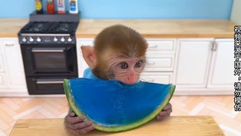 有趣的小猴子：小猴子挑战用巨型牙膏刷牙，能把牙齿刷干净吗？