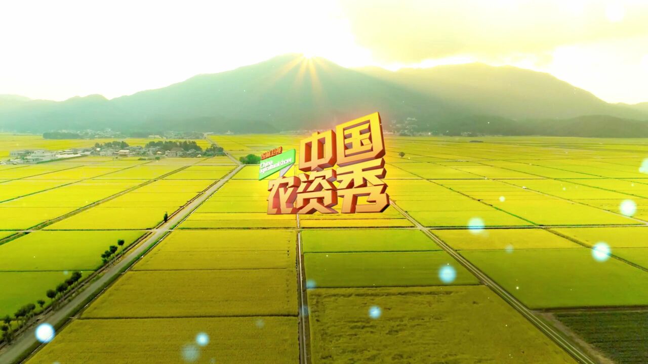 境外旅游购买保险_旅游保险国外的_购买国外旅游保险