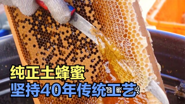 70岁老伯坚持做古法蜂蜜,承包近百亩山头,靠着真材实料收入百万