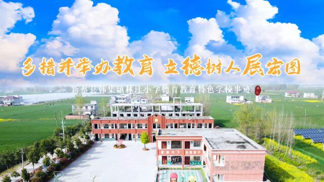 新蔡县韩集镇林洼小学德育特色学校宣传片