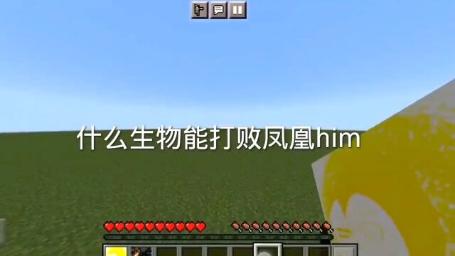 凤凰him