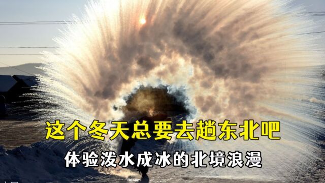 这个冬天总要去趟东北吧,体验独属于北境的浪漫,地理书诚不欺我