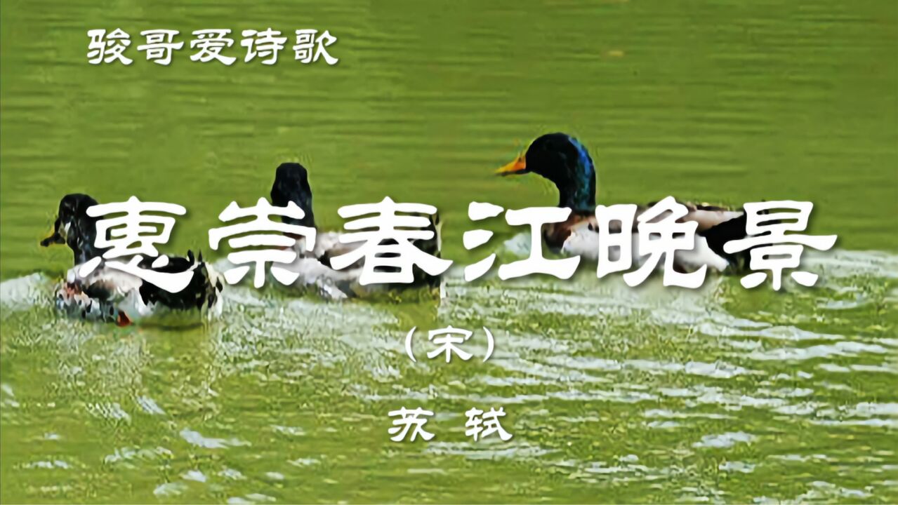 骏哥爱诗歌:苏轼《惠崇春江晚景》,经典诗歌赏析_腾讯视频