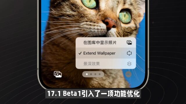 苹果推送 iOS 17.1 Beta 测试版系统,带来几项新变化原创