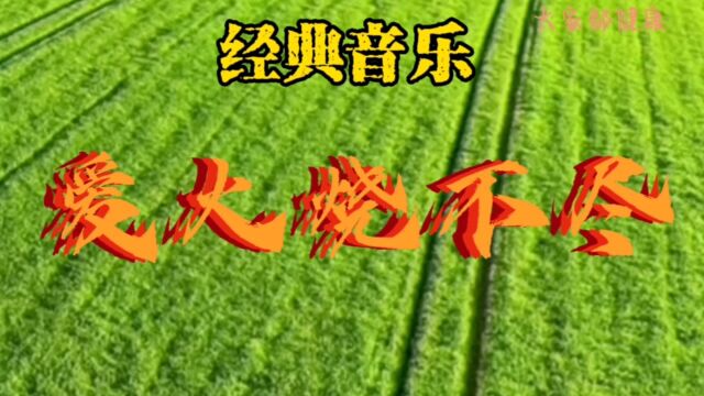 经典音乐#爱火烧不尽