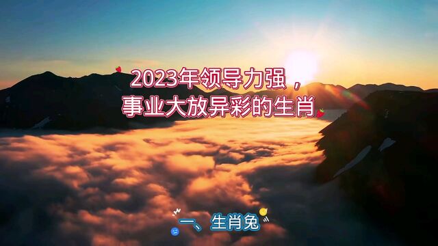 2023年领导力强,事业大放异彩的生肖