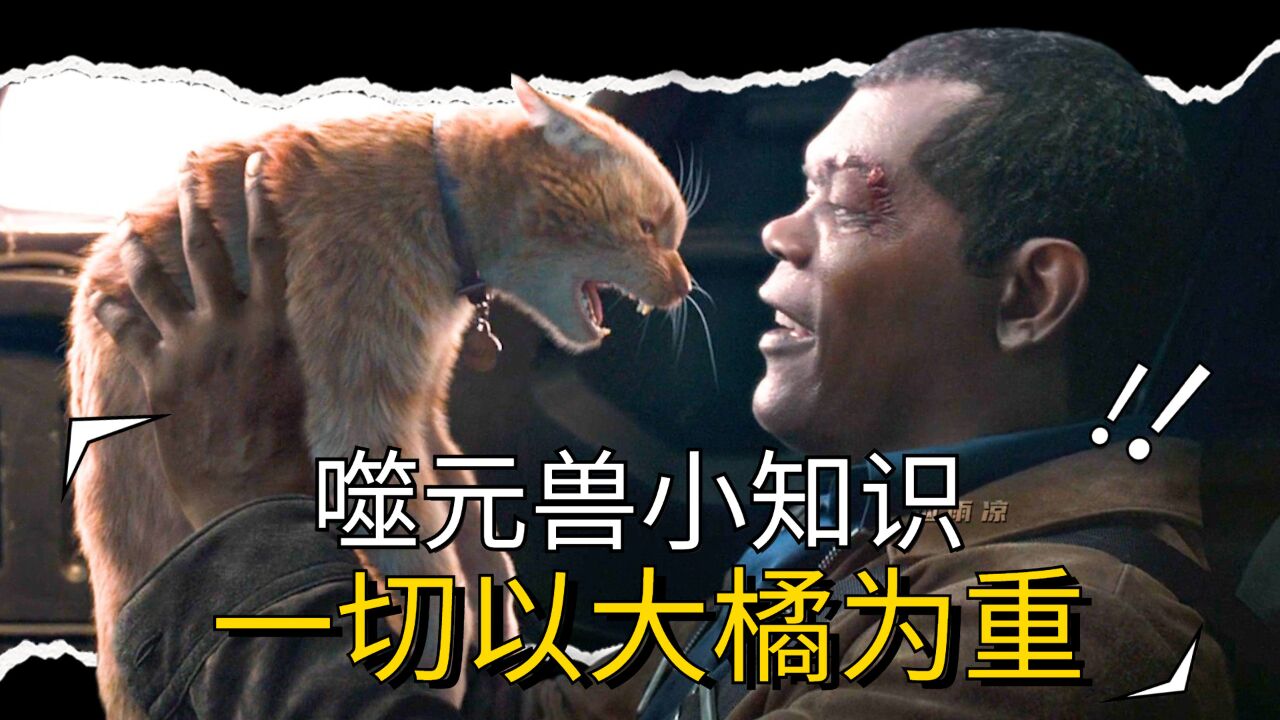 噬元兽小知识：一切以大橘为重_高清1080P在线观看平台_腾讯视频}