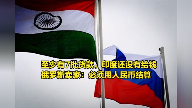 至少有7批货款,印度还没有给钱,俄罗斯卖家:必须用人民币结算