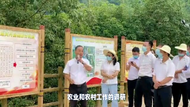 启动农业和农村调查研究,须聚焦六大核心问题