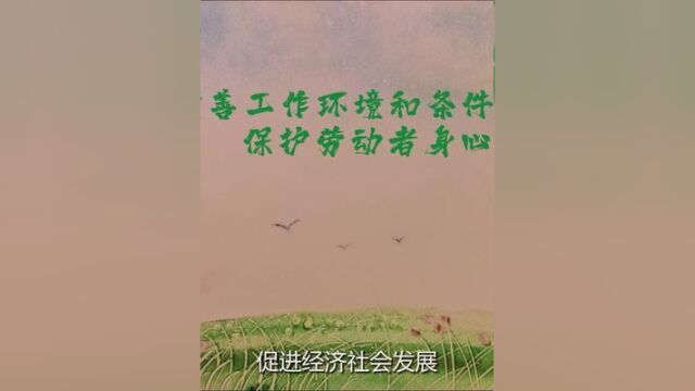 改善工作环境和条件,保护劳动者身心健康