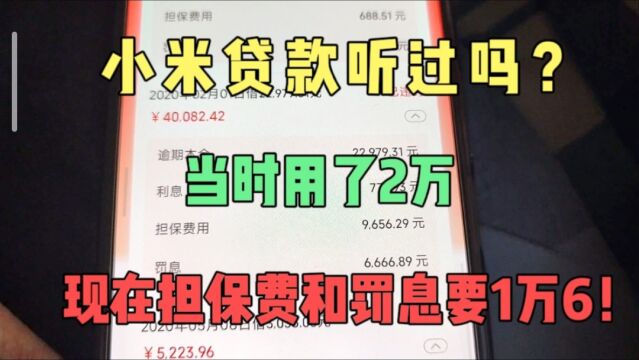 小米贷款要不下钱都改名了,用了2万,现在担保费和罚息要1万6!