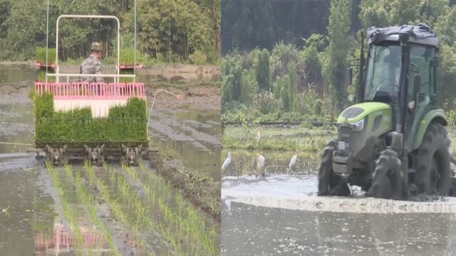 春耕更高效!南平多地实施机械化种植 春播春种跑出“加速度”