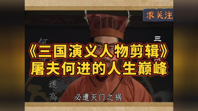 《三国演义人物剪辑》屠夫何进的人生巅峰