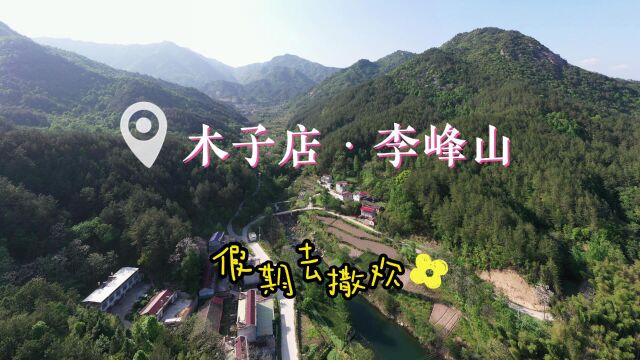 麻城市木子店李峰山村