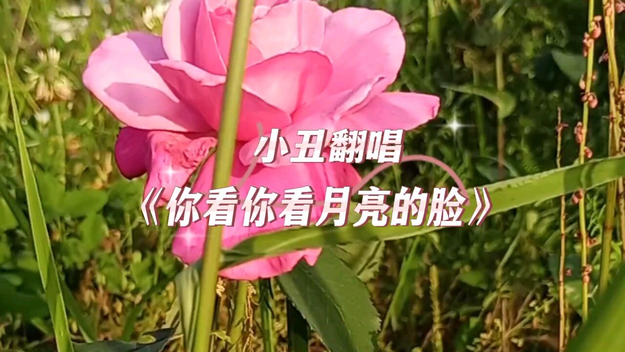 小丑翻唱孟庭葦的《你看你看月亮的臉》