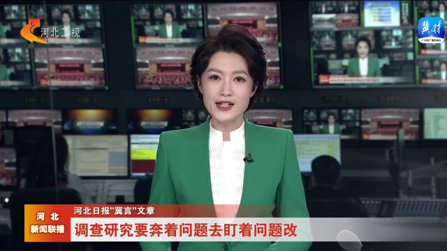 河北日报“冀言”文章丨调查研究要奔着问题去盯着问题改