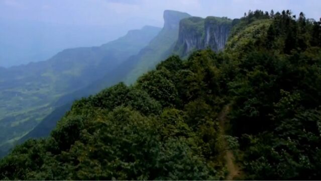 大娄山地势海拔高差大,地域差异十分明显,居住着30多个少数民族