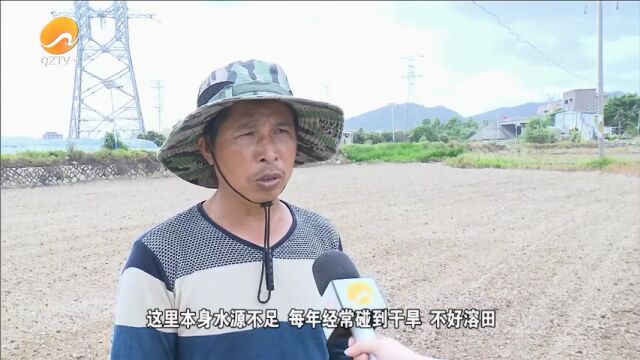 泉州市出台扶粮惠农政策措施 “真金白银”提高粮食生产综合能力