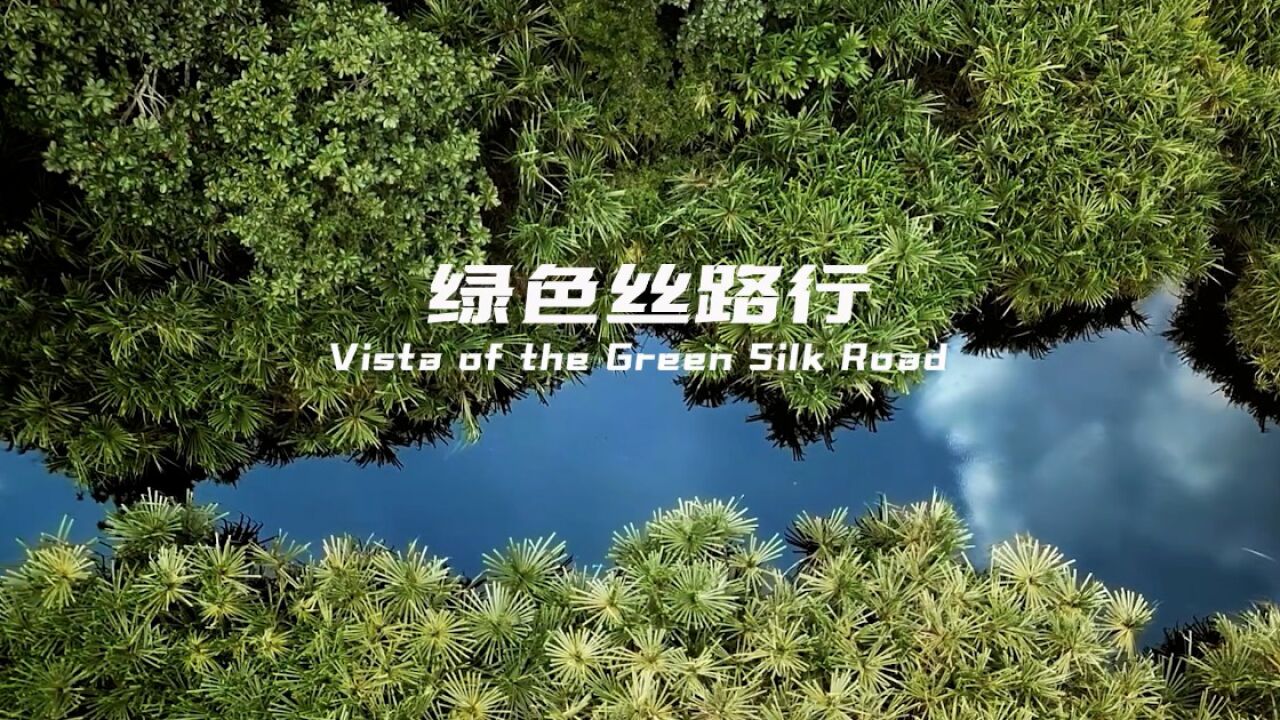 《绿色丝路行》预告