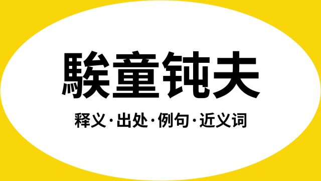 “騃童钝夫”是什么意思?