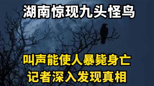 湖南村民发现九头鸟,叫声让人身体不适,记者深入发现原由