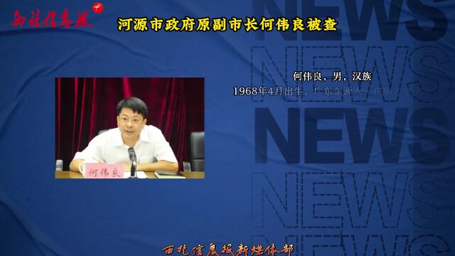 河源市政府原副市长何伟良被查