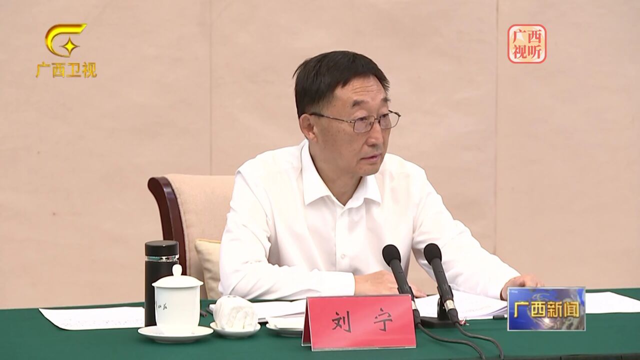 刘宁：重实效强实干抓落实在推动边疆民族地区高质量发展上展现更大作为_高清1080P在线观看平台_腾讯视频