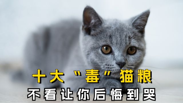 这十种“夺命”猫粮不要买,别说没提前告诉你!