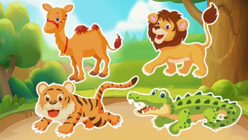 宝宝早教动画：认识动物狮子、骆驼、鳄鱼、老虎