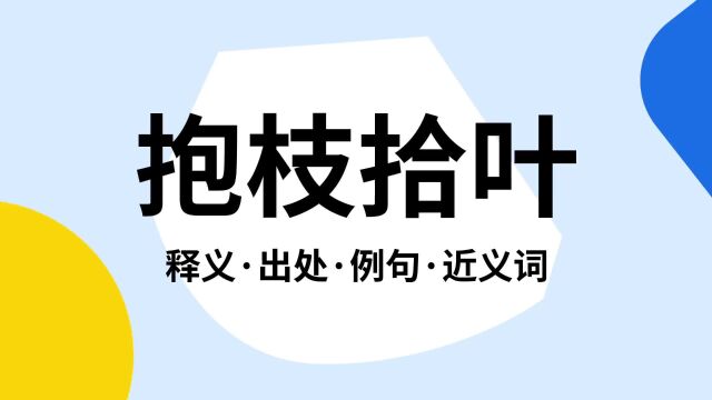 “抱枝拾叶”是什么意思?