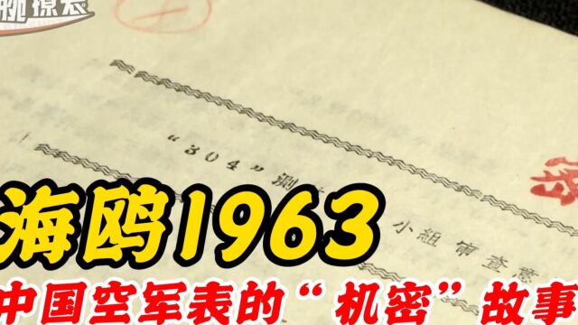 天津海鸥的“征途系列:1963时代版”评测