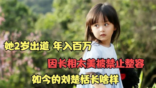 2岁出道年入百万,因长相太美被禁止整容,如今的刘楚恬长啥样?