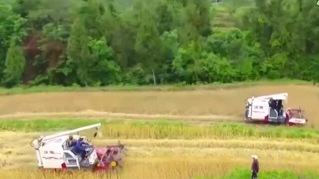 四川耕地改造升级,打开丘陵山地增产空间