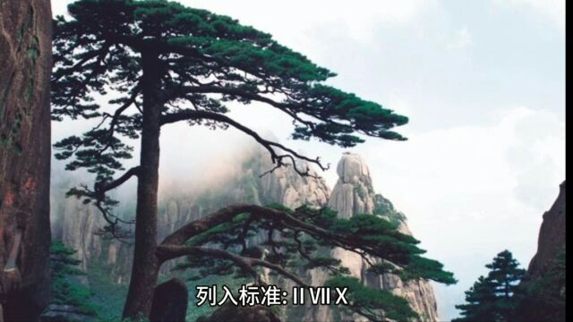 黄山的遗产类别是什么?