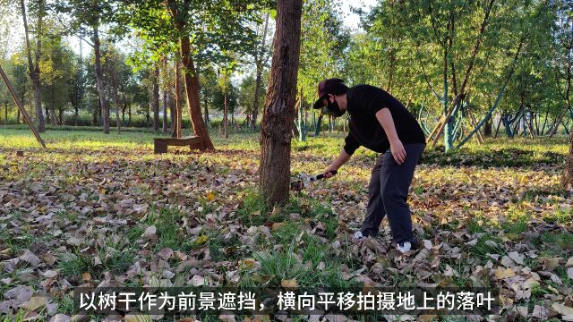 在秋天的落叶林,用5个简单运镜拍摄出唯美秋景