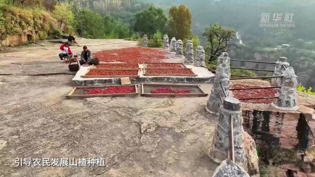 千城胜景|河南辉县:又见太行山里红