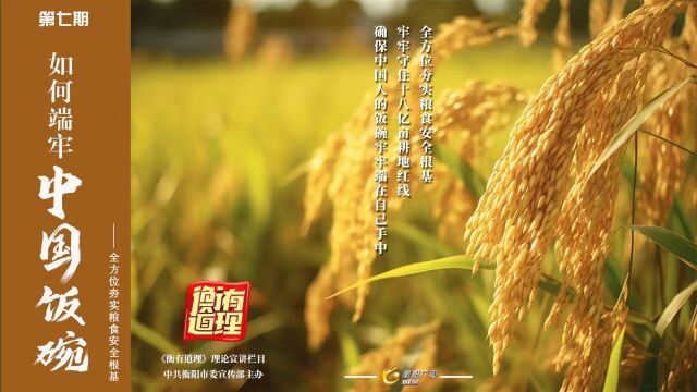 《衡有道理》⑦ | 如何端牢中国饭碗——全方位夯实粮食安全根基